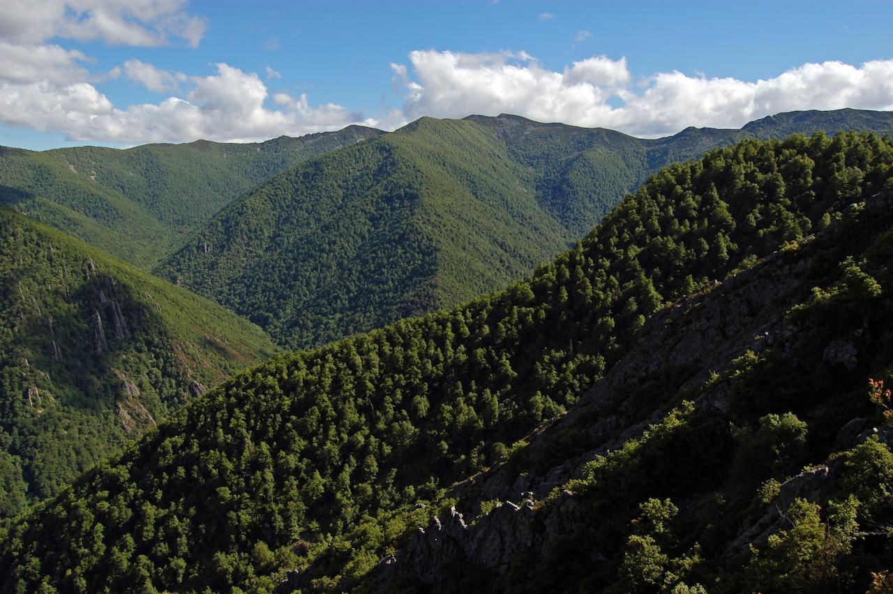 El Mirador De Fuentes Del Narcea Hotel Monco Luaran gambar